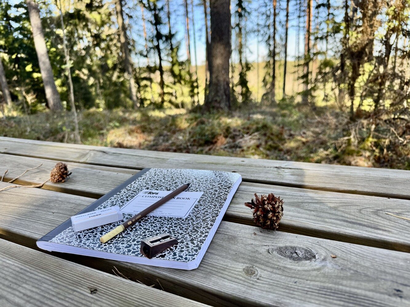 A wooden picnic table with pine cones on it, in a quiet Swedish pine forest lit by low spring sunlight.