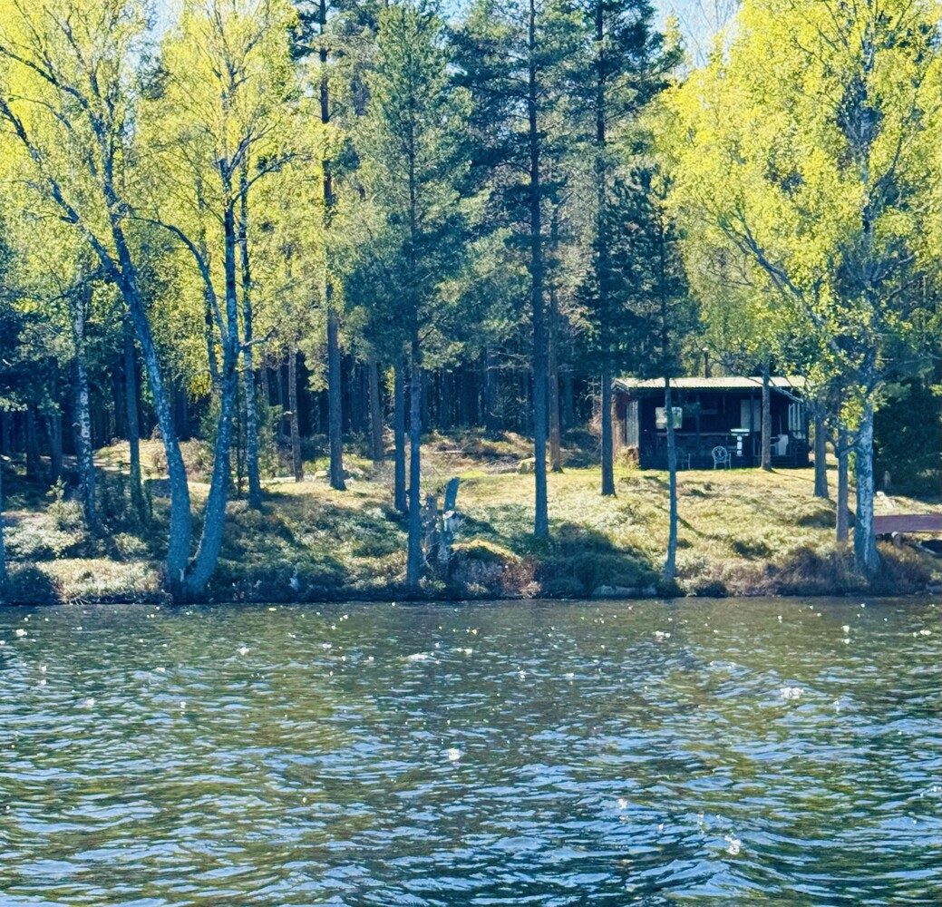 Green waterside trees and foliage reflected in the mirror-still surface of a Swedish lake.